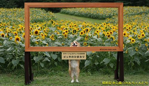 tumblr_lgp7hbaDVw1qbwakso1_500