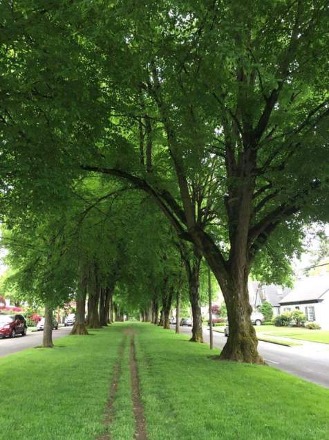 13697172_10207171220379462_6064770680010454927_n