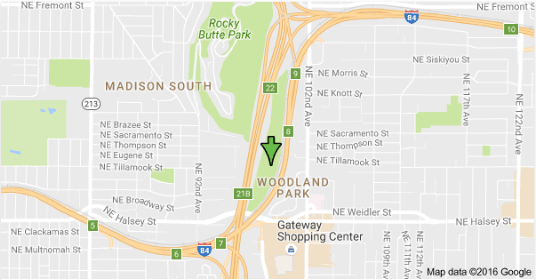 screenshot-2016-10-13-at-11-57-26-pm