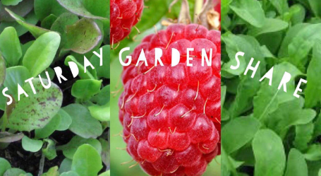 Screenshot 2017-06-30 at 1.48.38 PM