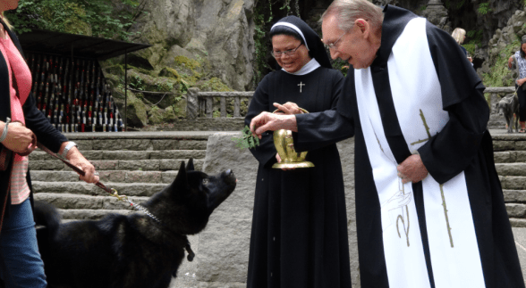 Screenshot 2017-07-14 at 11.16.23 AM